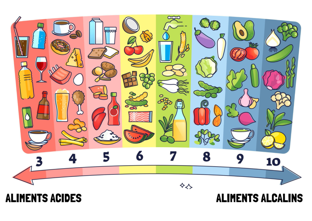 ph aliments acides et alcalins